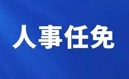 關于營銷部大客戶經(jīng)理的任命決定